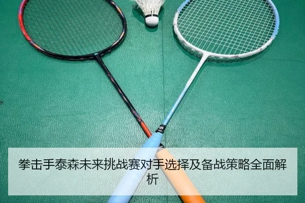 拳击手泰森未来挑战赛对手选择及备战策略全面解析